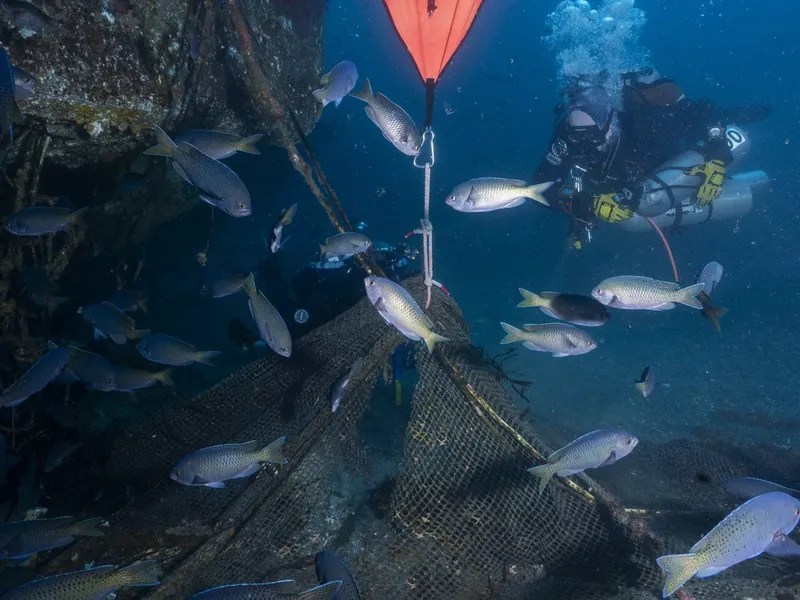 A lift bag heads for the surface through a school of fish.