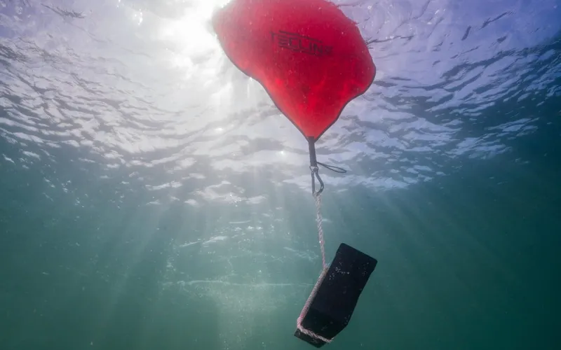Avalon Harbor Cleanup — Ghost Diving USA